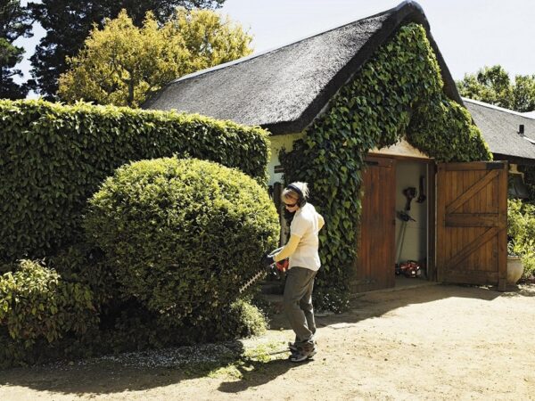 Gyvatvoriu formavimas